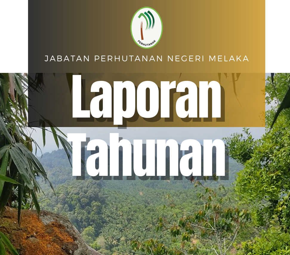 Laporan Tahun 2024